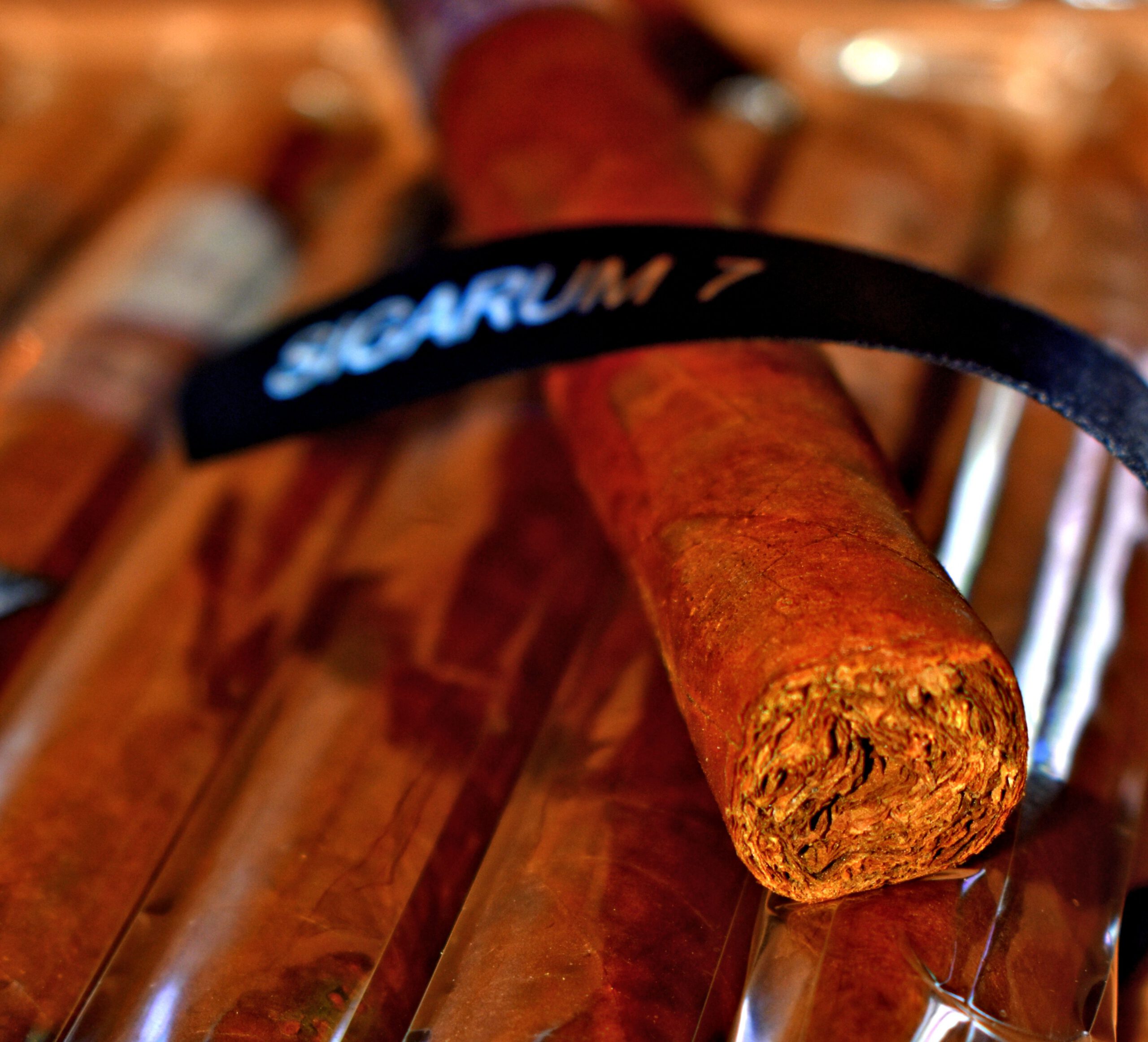 Close-up of a cigar of rolled tobacco with a black SIGARUM 7 ribbon behind it