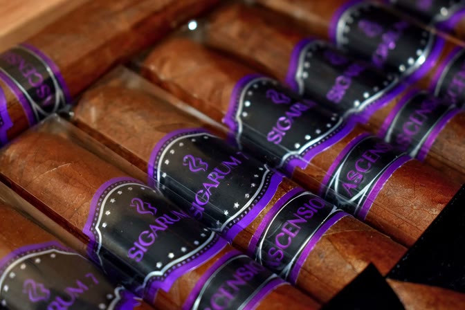 Ascension Toro cigars resting in the open box